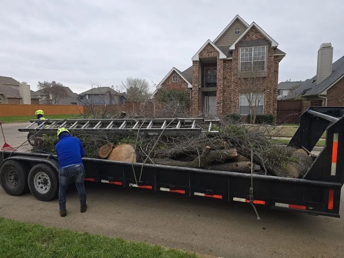Expert Lot Clearing with proper safety equipment in Richland